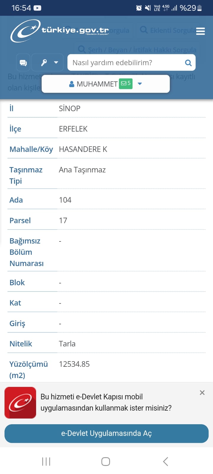 Satılık Tarla – Sinop Erfelek Hasandere